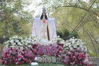 gallery/44876472_2218463178400446_5920339184601530368_n